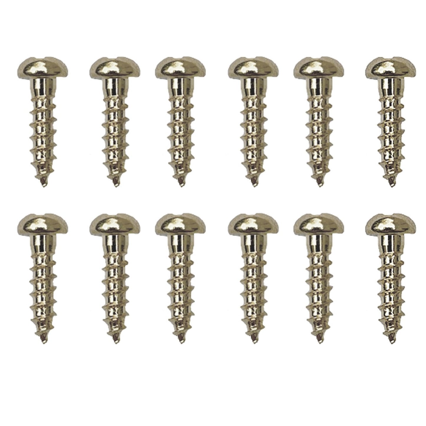 (12) Gotoh Guitar Tuner Screws for Tuning Keys SG301, SG360, SG381 - NICKEL