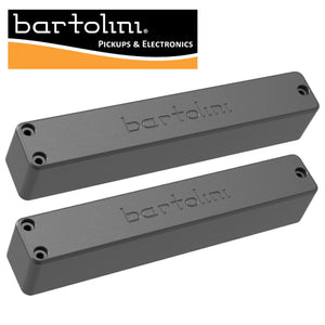 NEW Bartolini G66CBJD B1/T1 G6 Classic Bass Soapbar 6 String Neck & Bridge SET