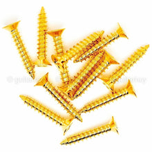 Load image into Gallery viewer, NEW (12) Gotoh Tele/Telecaster Guitar Bridge Mounting Screws 20mm Long - GOLD