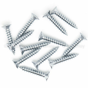 NEW (12) Gotoh Tele/Telecaster Guitar Bridge Mounting Screws 20mm Long - CHROME