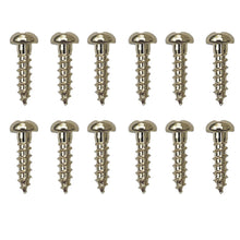 Load image into Gallery viewer, (12) Gotoh Guitar Tuner Screws for Tuning Keys SG301, SG360, SG381 - NICKEL