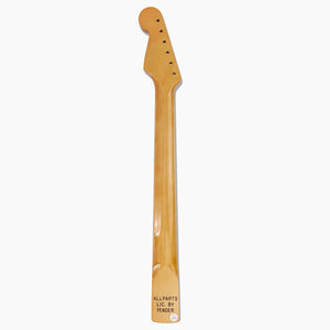 NEW Allparts “Licensed by Fender®” SRF Replacement Stratocaster® Neck Finished