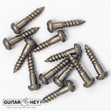 Load image into Gallery viewer, (12) Gotoh Guitar Mounting Screws for SD91 Keys 12mm Long Round Head AGED NICKEL